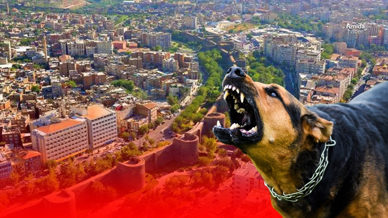 Diyarbakır’da kuduz endişesi: 17 yaşındaki genç hastanede