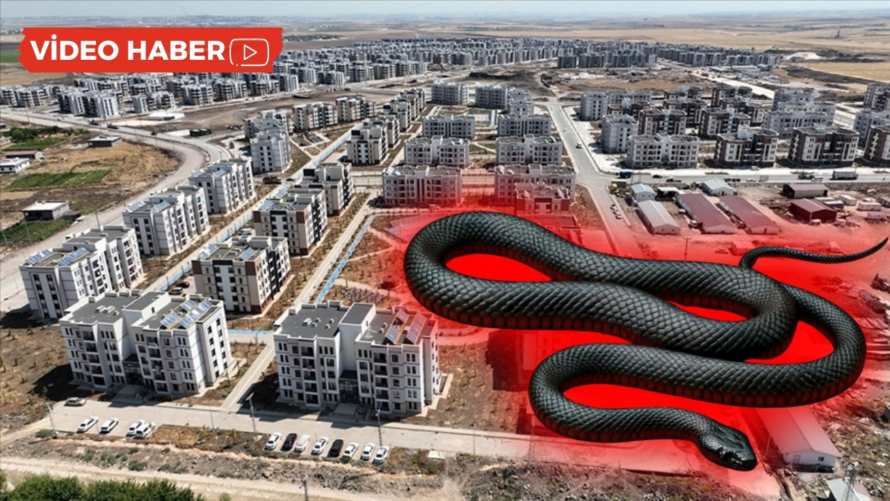 Diyarbakır'da korku dolu anlar: Çocuk odasına yılan girdi