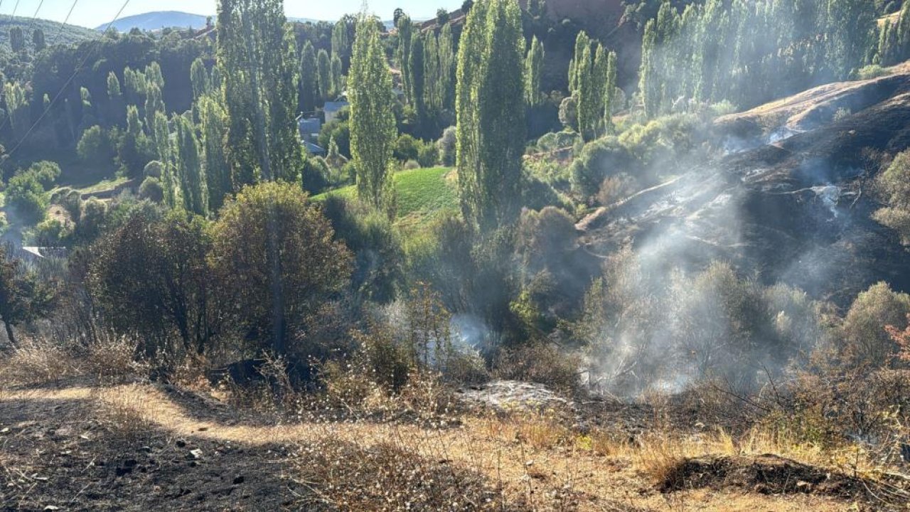 Malatya’da bahçe yangını