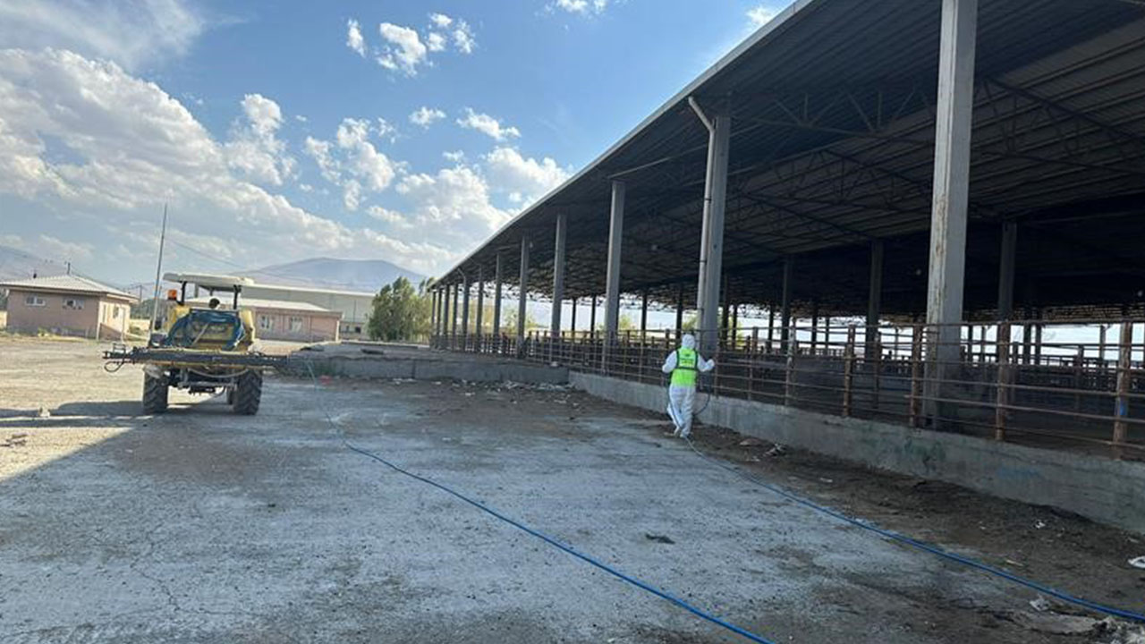 Iğdır hayvan pazarında dezenfeksiyon çalışması