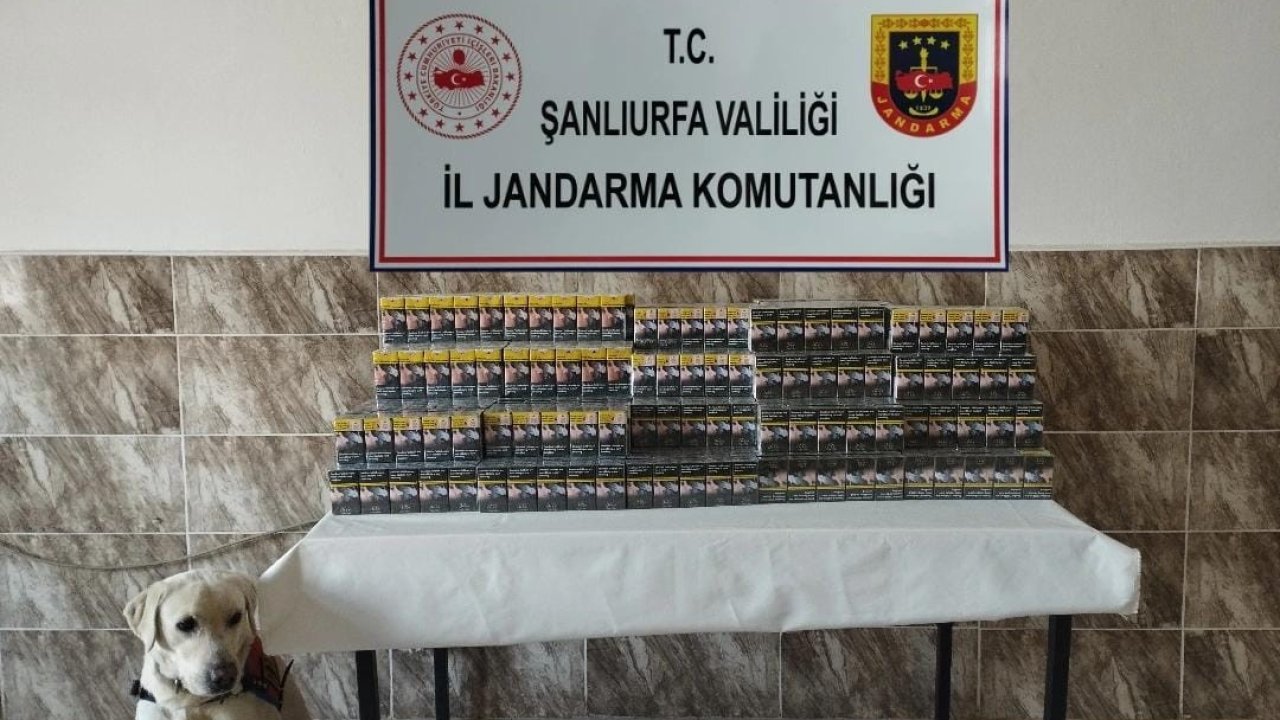 Şanlıurfa'da kaçak sigara operasyonu