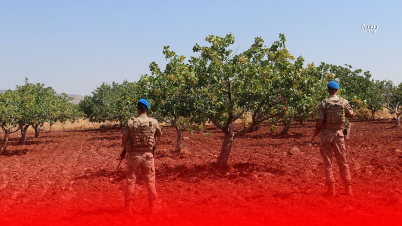 71 yaşındaki kadın fıstık bahçesinde ölü bulundu