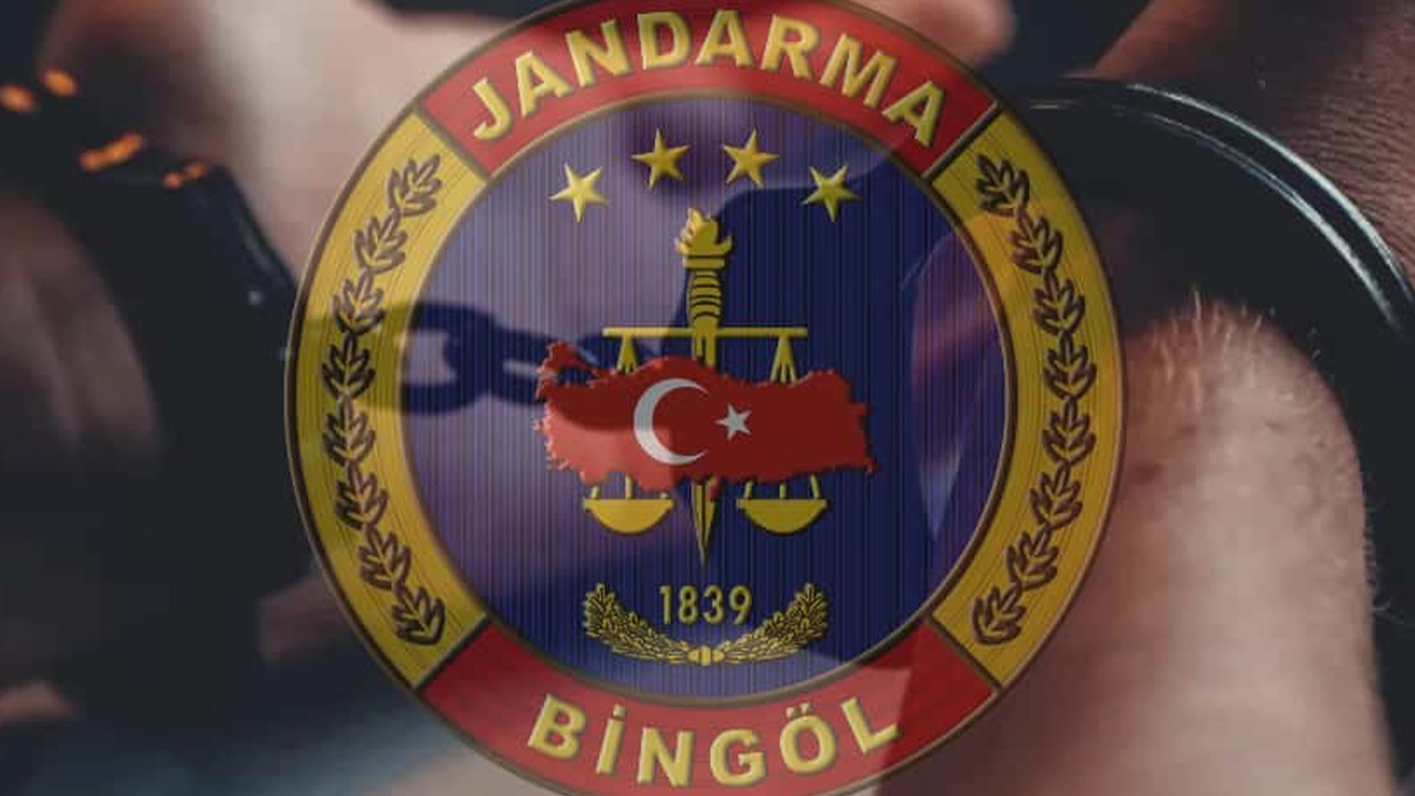 Bingöl’de kesinleşmiş hapis cezası bulunan şahıs yakalandı