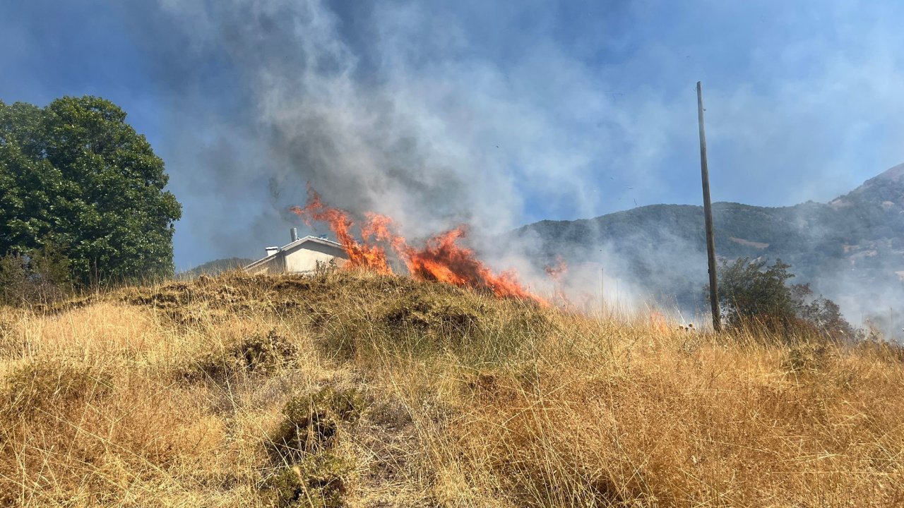 Tunceli'de kırsal alanda çıkan yangına müdahale