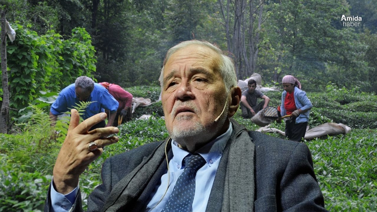 İlber Ortaylı, Kürtlerden sonra Lazlara da taktı!