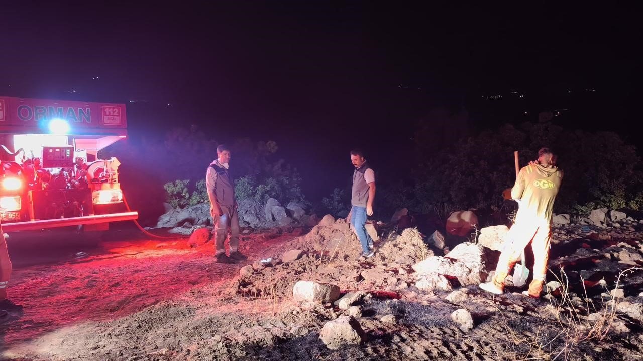 Bingöl'de orman yangını: Ekipler seferber oldu