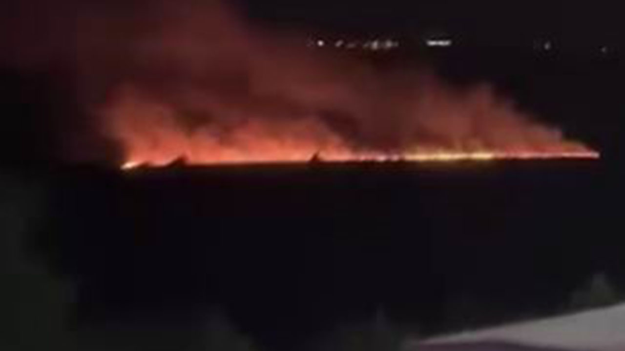 Diyarbakır Hevsel'de korkutan yangın
