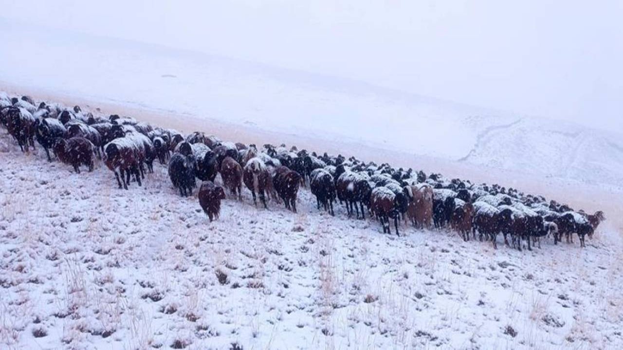 Ağrı’ya ilk kar düştü: Dağlar beyaza büründü