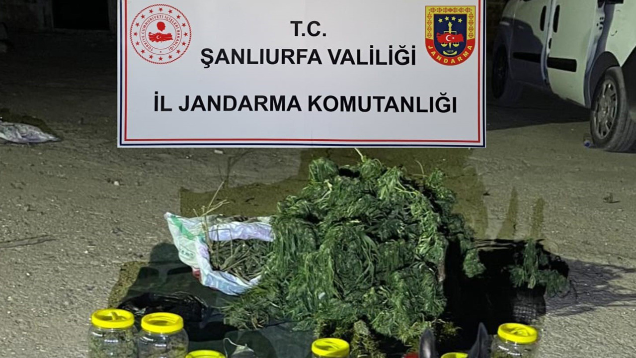 Şanlıurfa'da uyuşturucu operasyonu