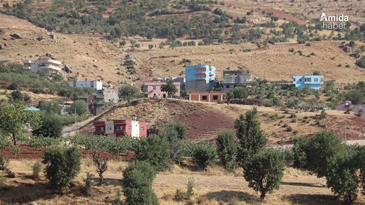 Siirt'te ağaçtan düşen kişi yaşamını yitirdi