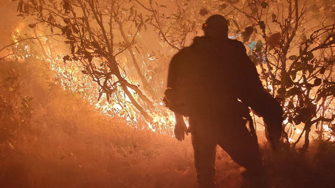 Diyarbakır’daki yangın söndürüldü