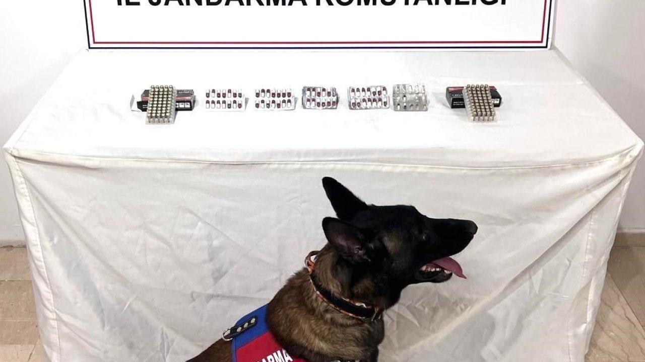 Şanlıurfa'da uyuşturucu operasyonu