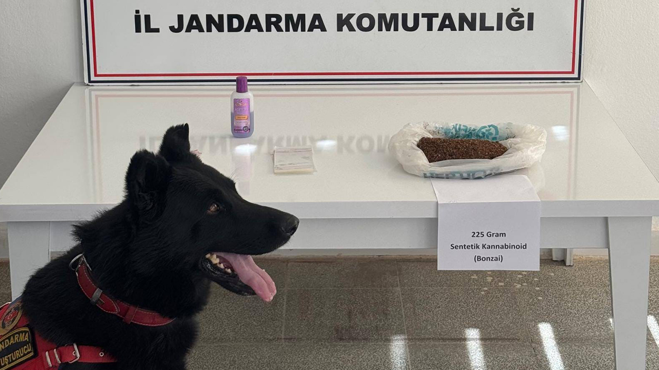 Muş'ta uyuşturucu operasyonu