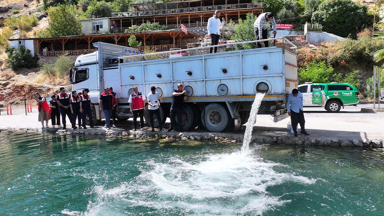 Diyarbakır'da baraj ve göletlere milyonlarca balık yavrusu bırakıldı