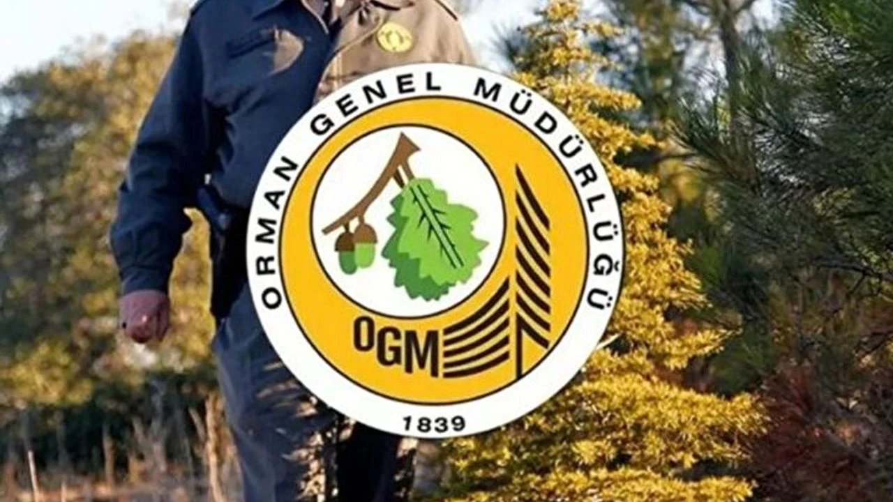 Orman Genel Müdürlüğü işçi alımı şartları açıklandı
