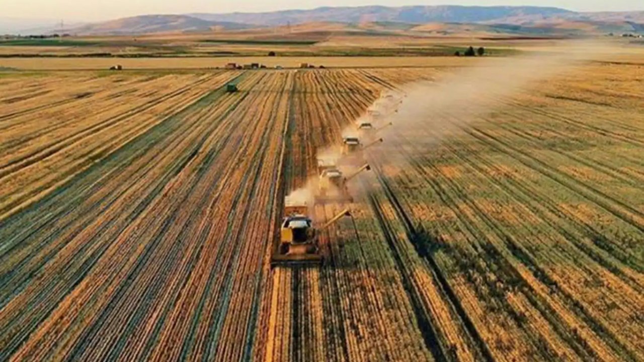 Diyarbakırlı çiftçilerin beklediği ödemeler bugün hesaplarda