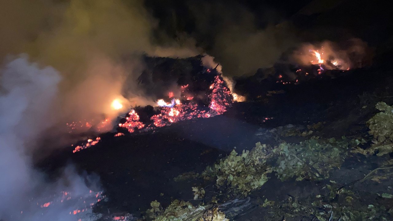 Bitlis'te ot yangını paniğe neden oldu