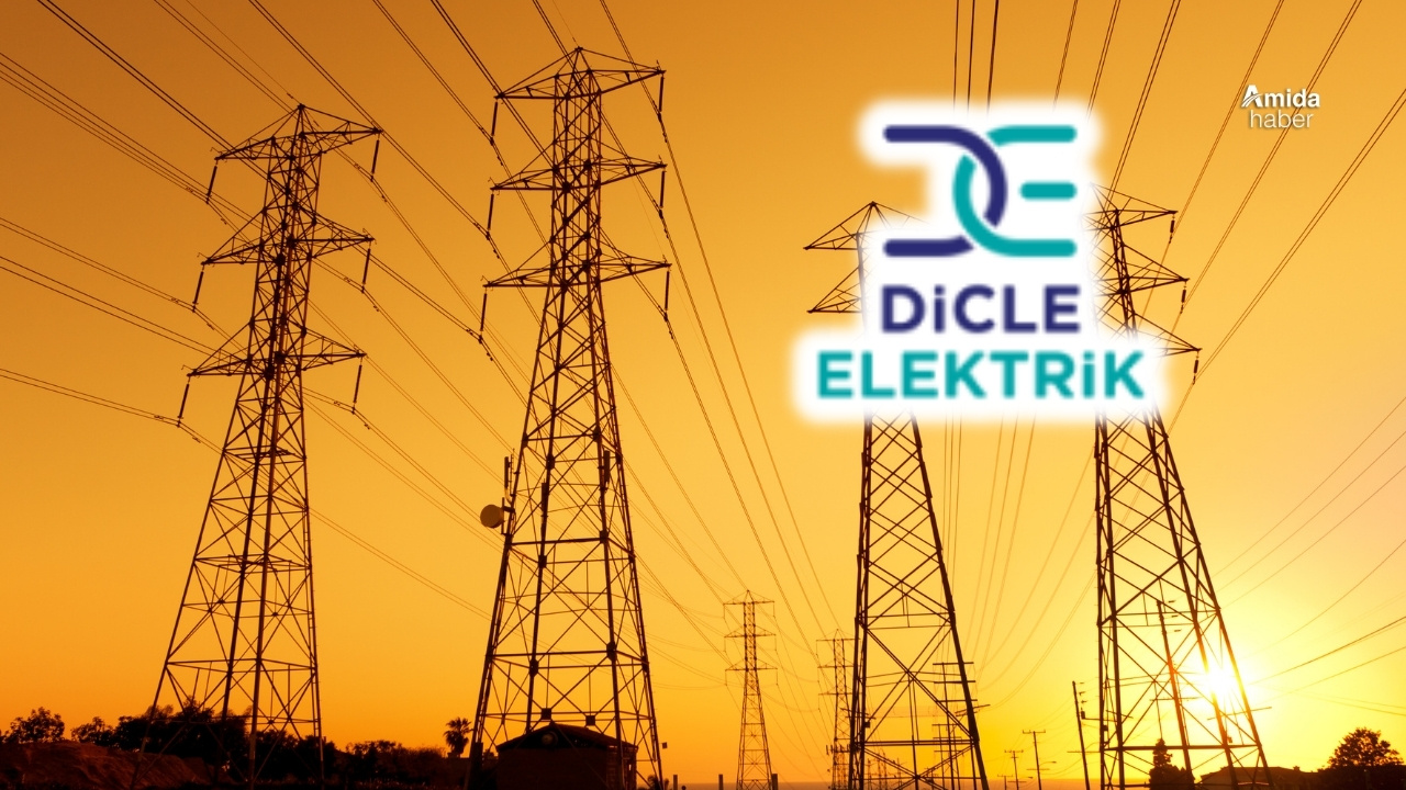 Dicle Elektrik: İki ildeki kaçak Türkiye ortalamasını geçti