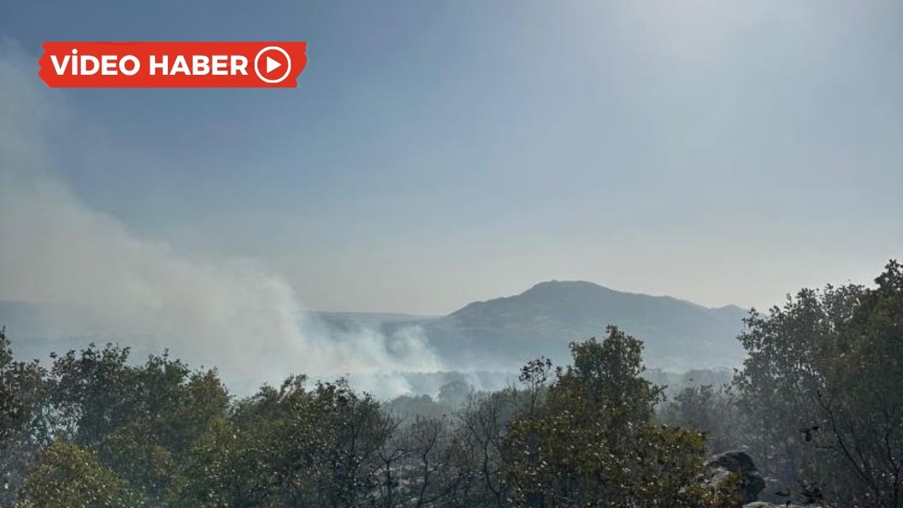 Diyarbakır’da korkutan yangını: 7 saat sürdü