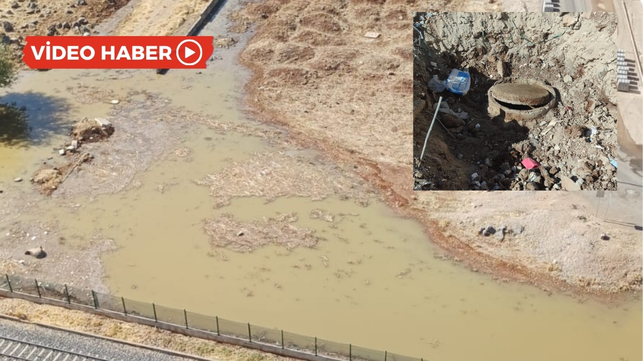 Diyarbakır’daki mahalleyi lağam kokusu bastı