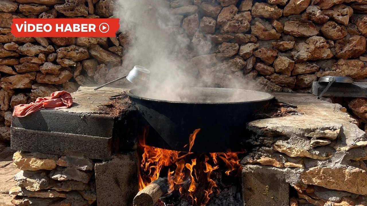 Diyarbakır: ‘Têrkan’da pekmez mesaisi başladı