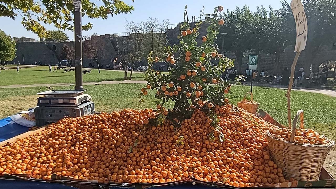 Diyarbakır’ın ‘Guhij’i tezgahlarda: Faydaları saymakla bitmiyor