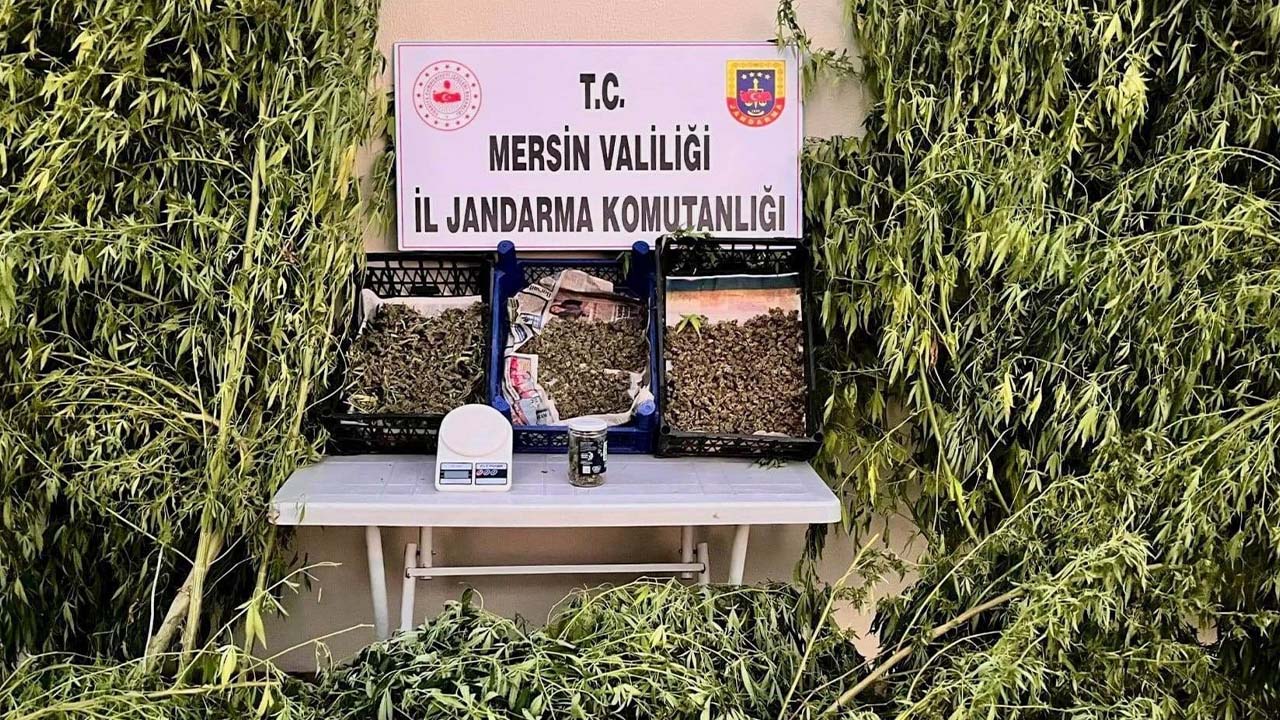 Mersin'de uyuşturucu operasyonu: 2 gözaltı