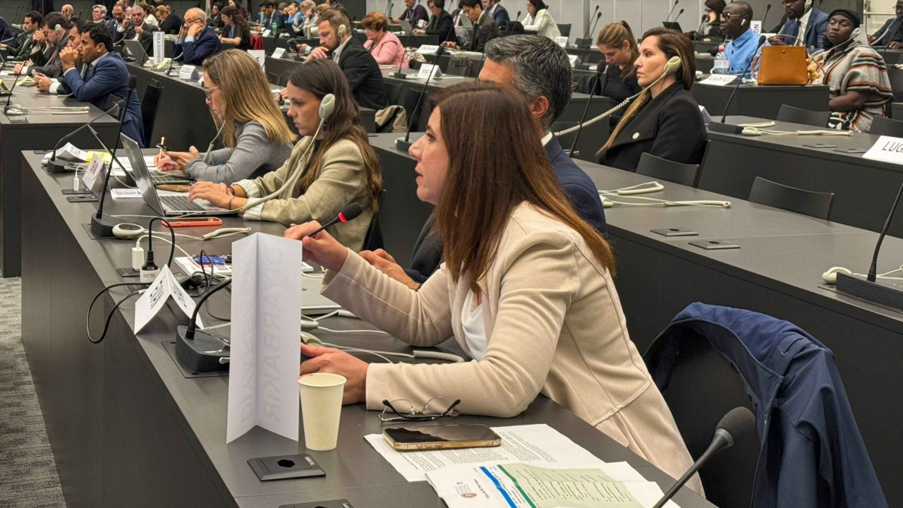 Serra Bucak BM’de konuştu: Şehrimizde yoksulluk var