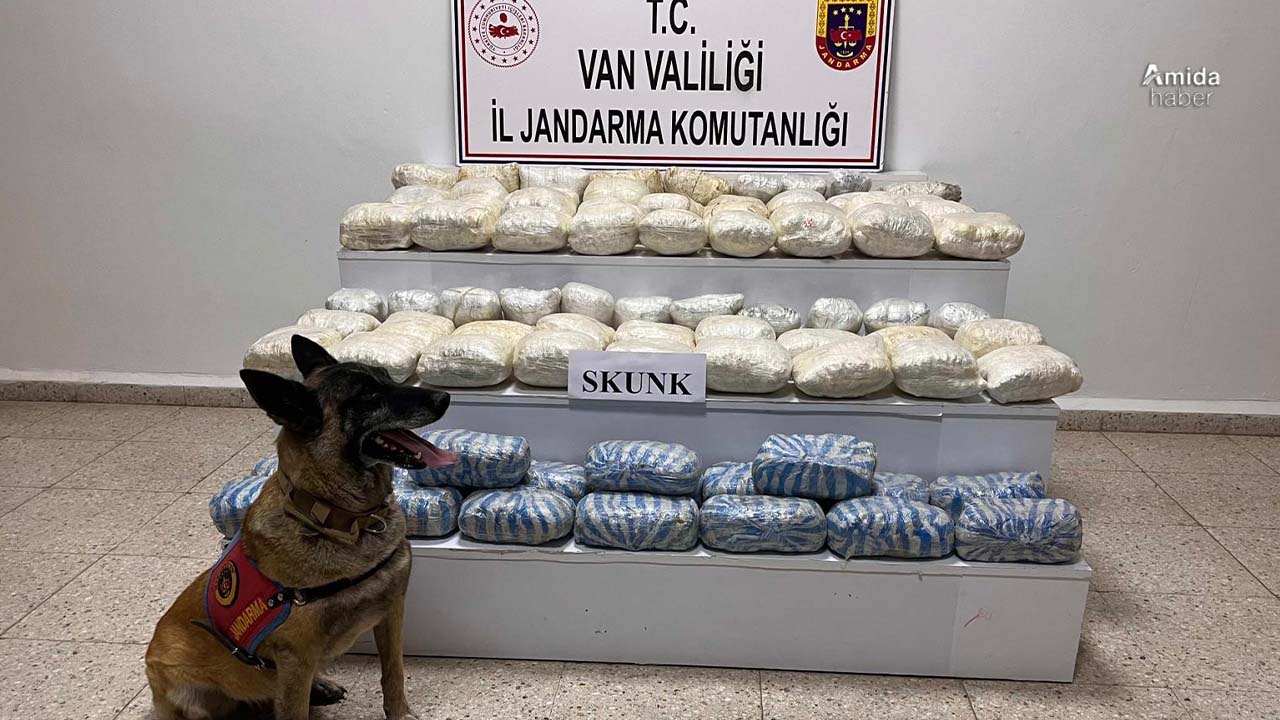 Van'da uyuşturucu operasyonu