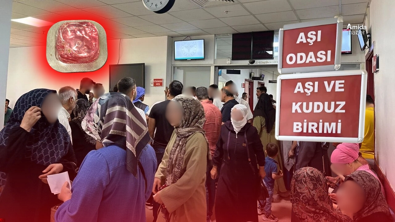 Diyarbakır’da büyük ihmal: Yüzlerce kişiye kuduz aşısı