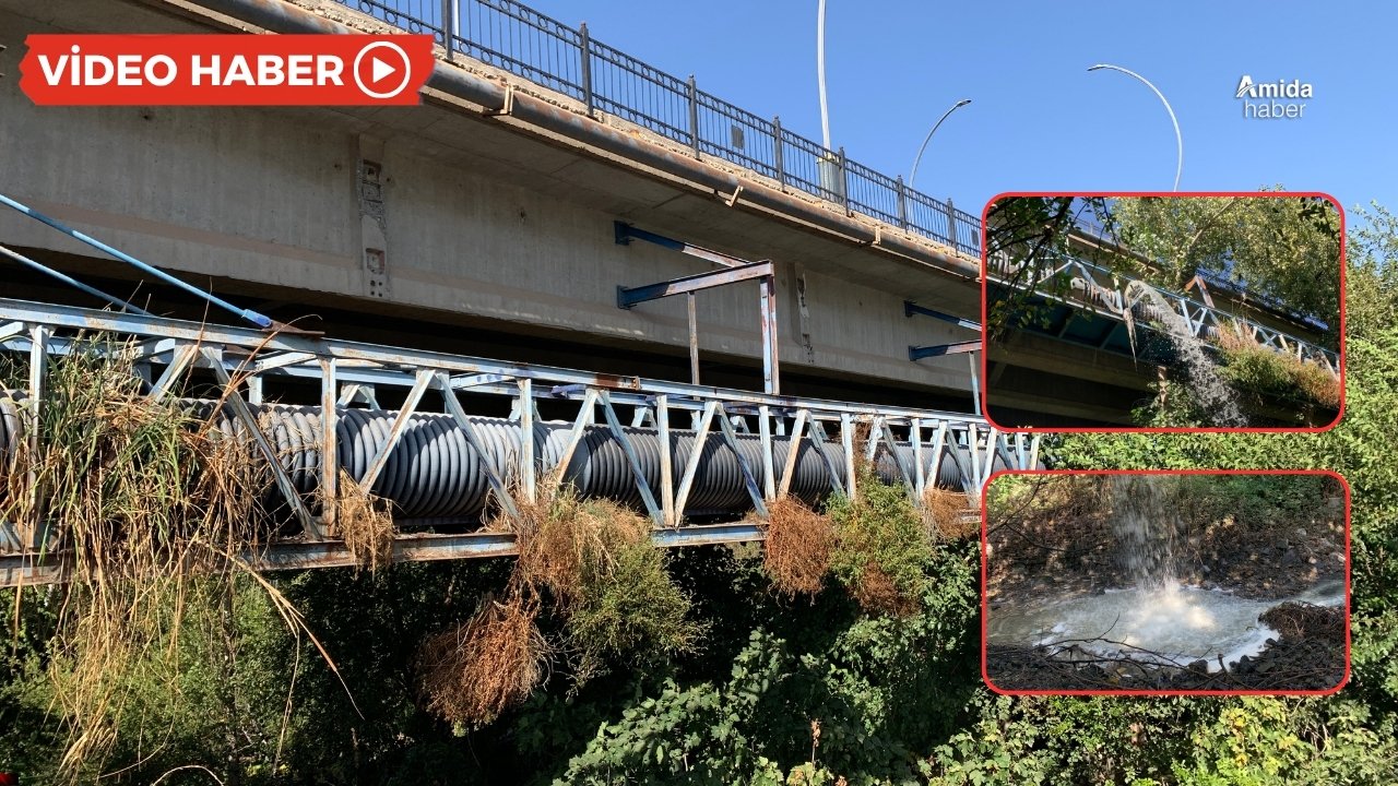 Dicle Nehri’ne 7 aydır zehir akıyor