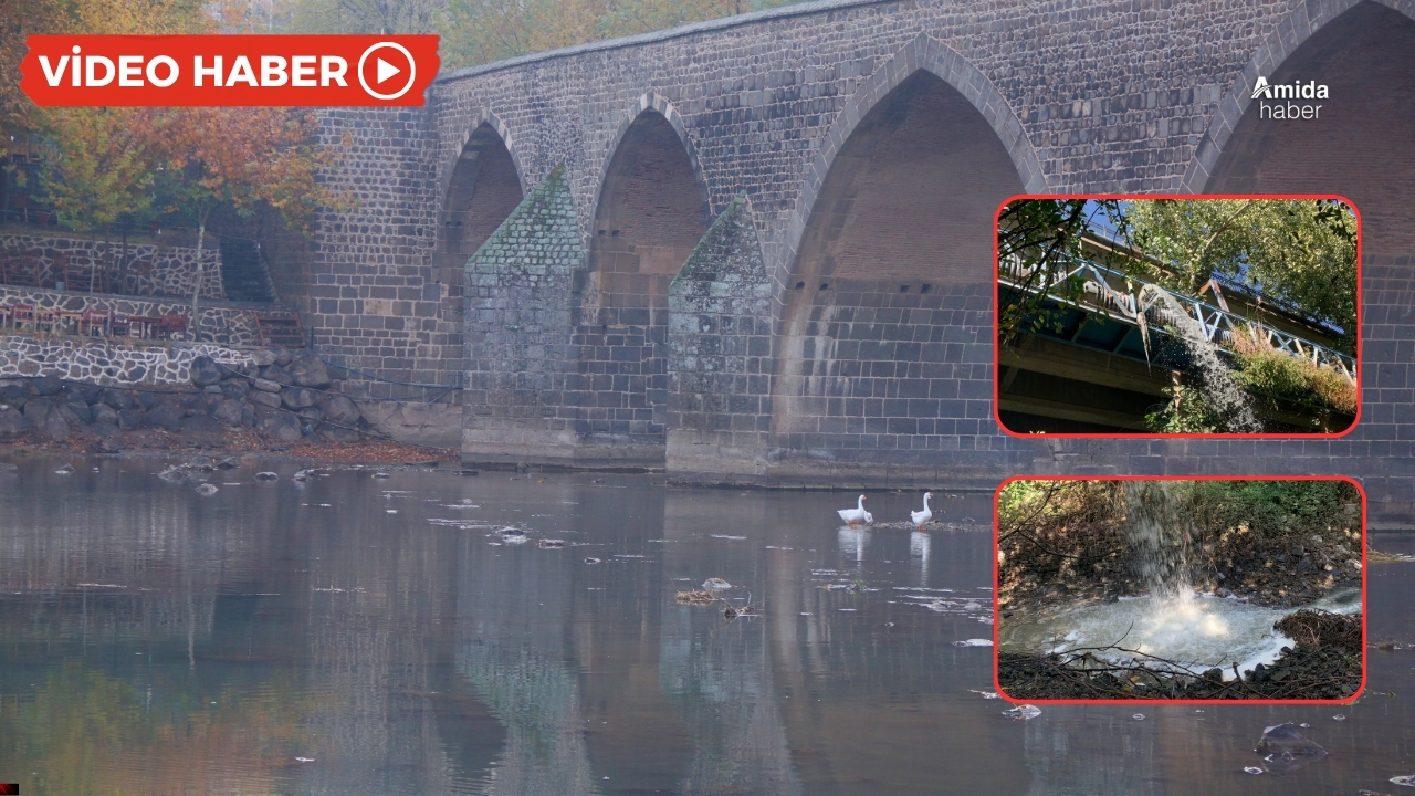 Dicle Nehri’ne 7 aydır zehir akıyor
