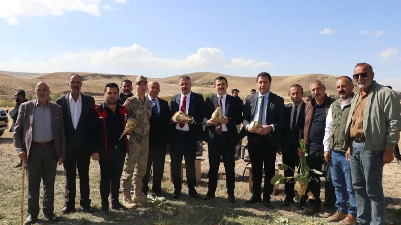 Ağrı’da şeker pancarı hasadı başladı