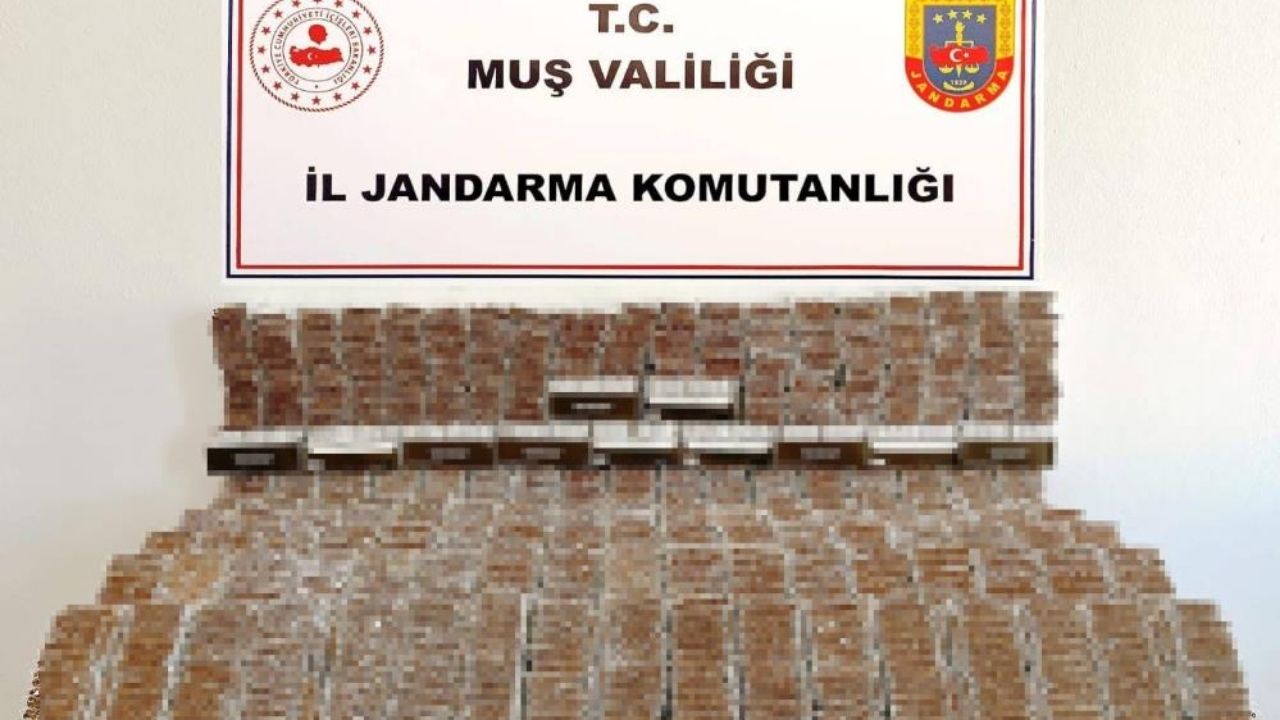 Muş’ta binlerce makaron ele geçirildi