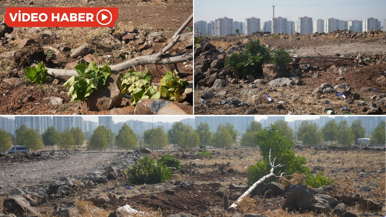 Diyarbakır’a büyük ihanet: Kim bu vicdansızlar