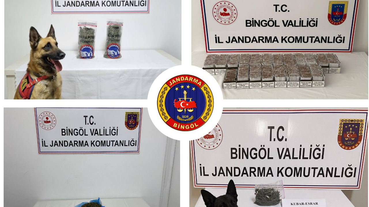 Bingöl'de asayiş uygulaması: 2 tutuklama