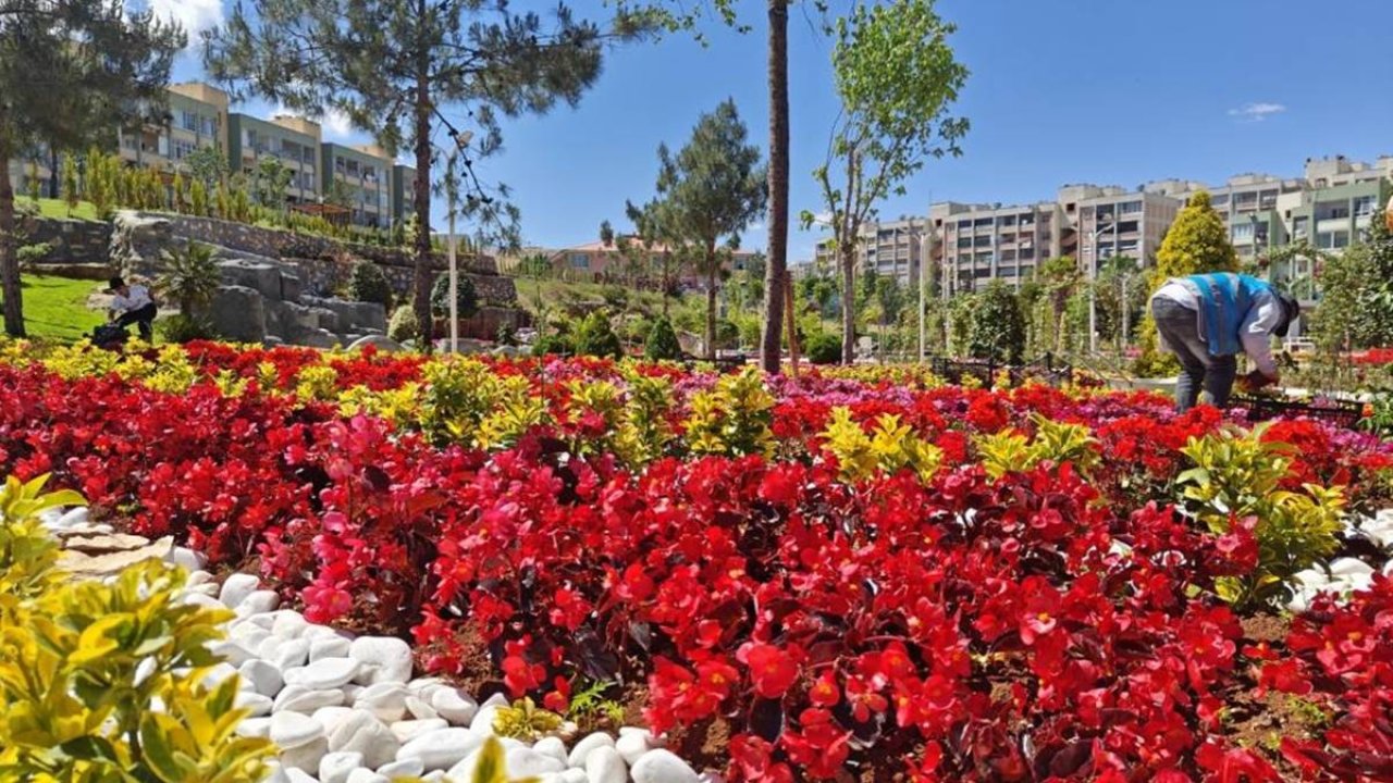 Şanlıurfa’da süs bitkileri parkları, sebzeler üretimi yeşertiyor