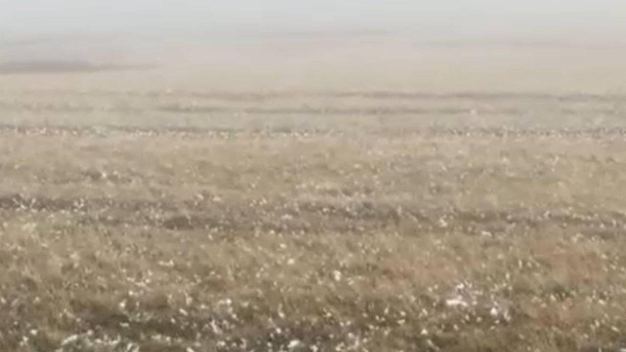 Ardahan 1 dereceyi gördü: Yüksek kesimlerinde kar yağdı