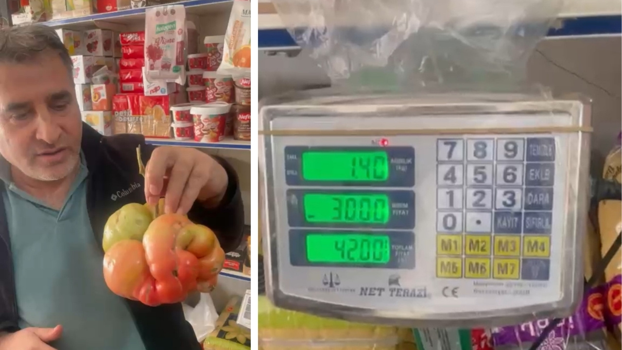 Mardin'de 1 kilo 400 gramlık domates şaşkınlık yarattı