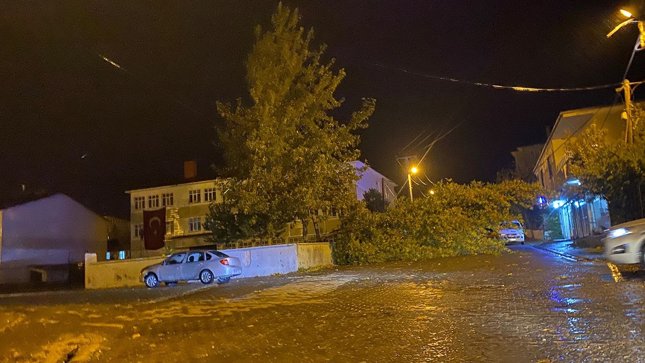 Bitlis’te rüzgarın kökünden söktüğü ağaç otomobilin üzerine devrildi
