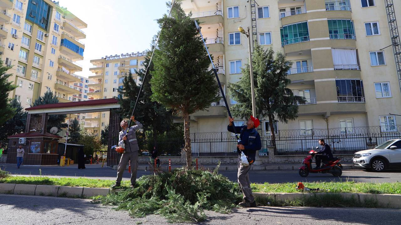 Diyarbakır’da 4 milyon 500 bin ağaç budanacak