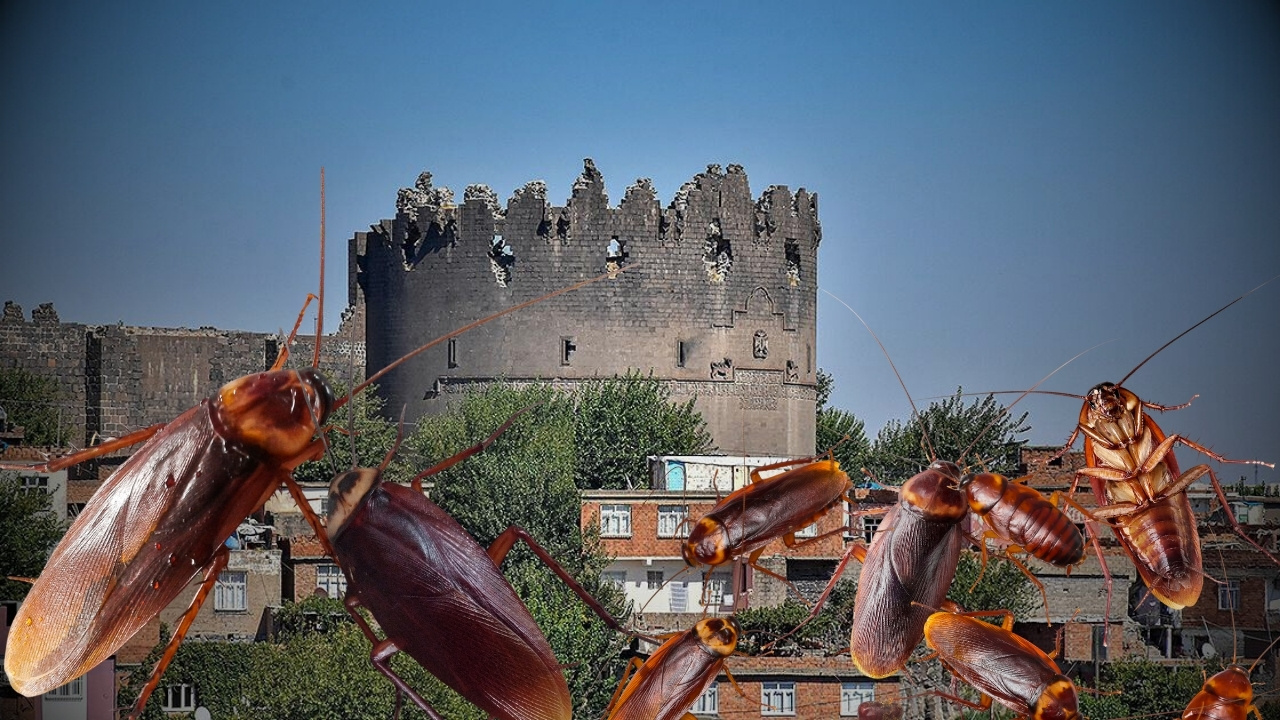 Diyarbakır’da AVM’nin yemek katını böcek bastı