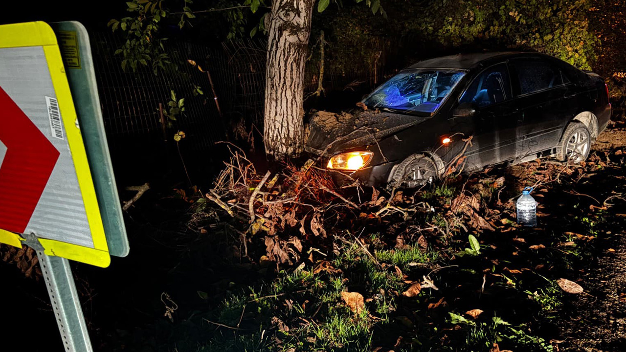 Kontrolden çıkan otomobil ağaca çarptı: 3 yaralı