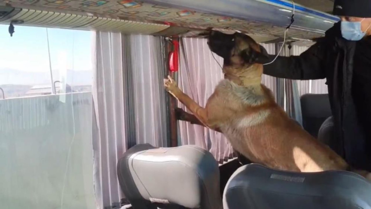 Ağrı’da 8 kilo skunk ele geçirildi