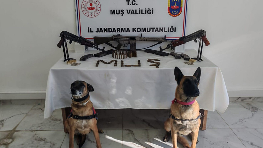Muş'ta operasyon: Ruhsatsız silahlar ele geçirildi