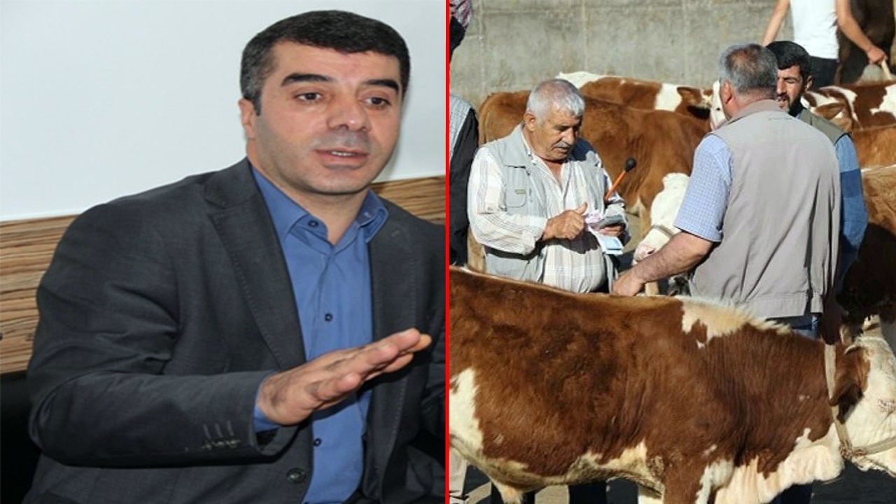 Diyarbakırlı ‘cambazlara’ uyarı