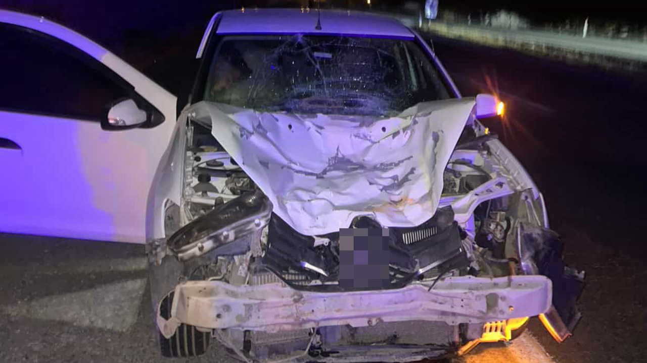 Siirt’te otomobilin çarptığı at öldü