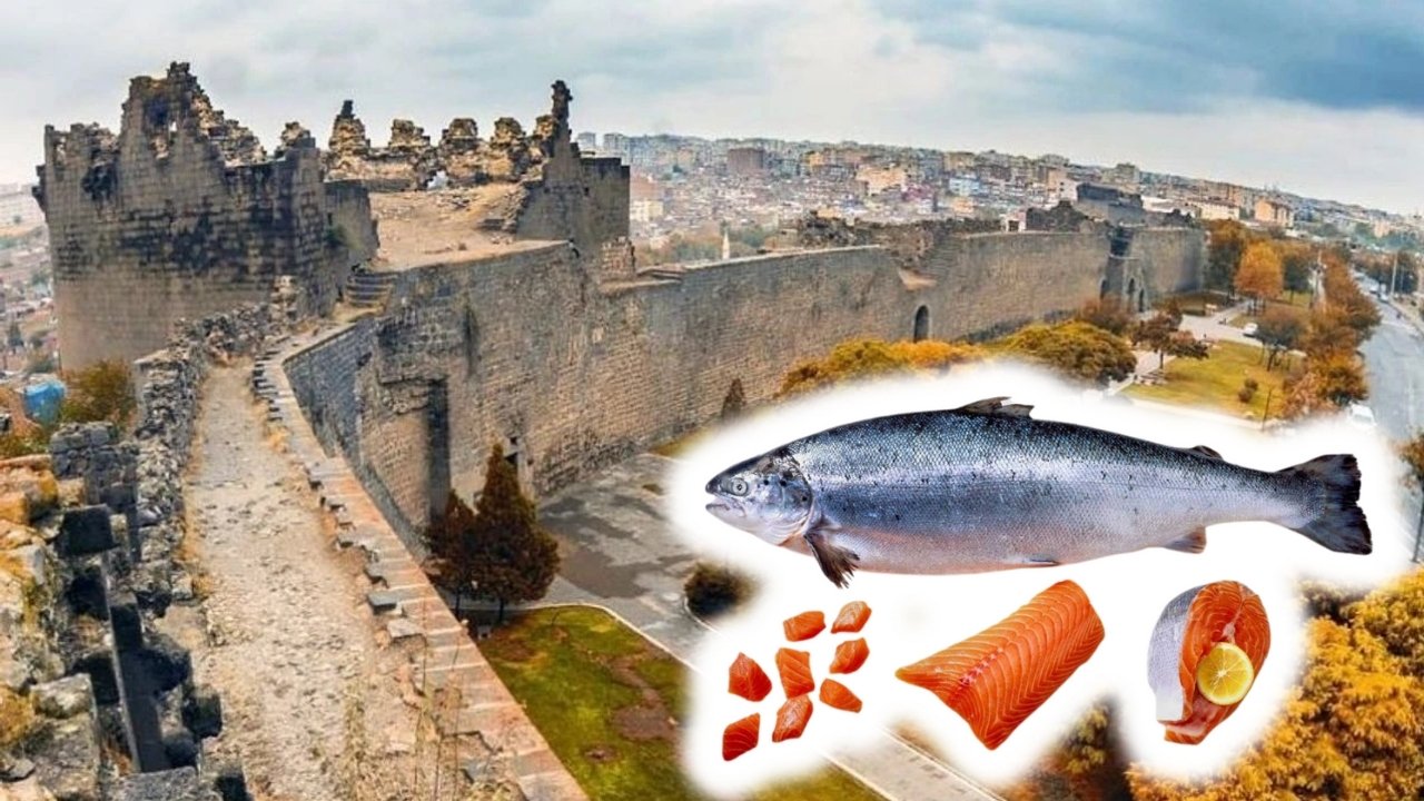 Diyarbakır’da üretilen ‘Mezopotamya somonu’ dünyaya açılıyor