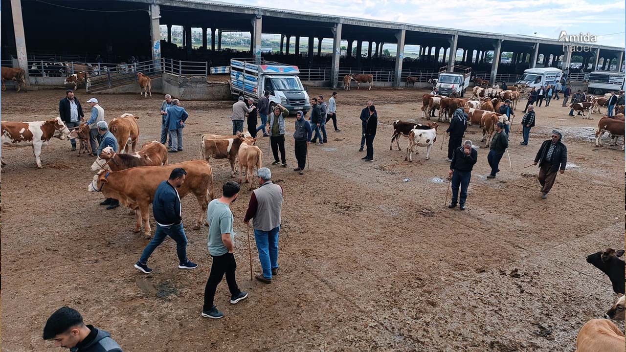 Diyarbakır’da aşılama bitti: Pazar açıldı