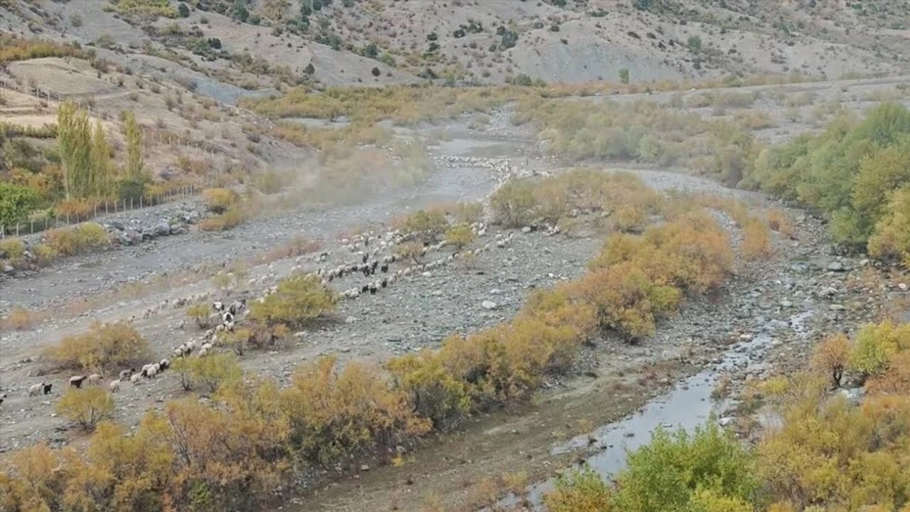 Diyarbakırlı genç kaybolan koyunları dronla buluyor